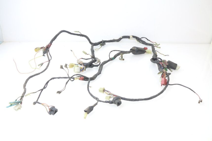 photo de WIRE HARNESS KAWASAKI GTR 1000 (1994 - 2004)