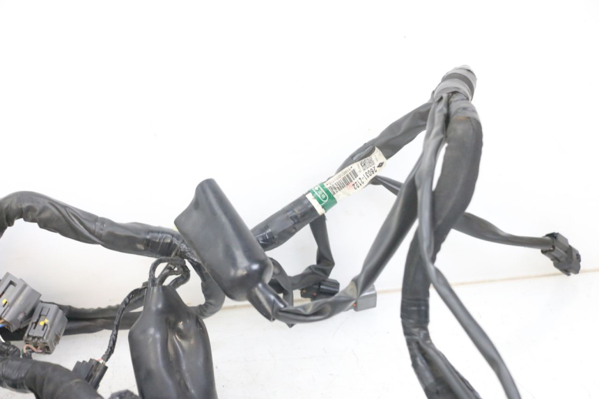 photo de WIRING HARNESS KAWASAKI VERSYS ABS 650 (2015 - 2018)