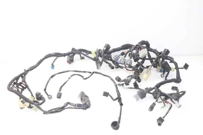 photo de WIRE HARNESS KAWASAKI Z Z900 900 (2017 - 2019)