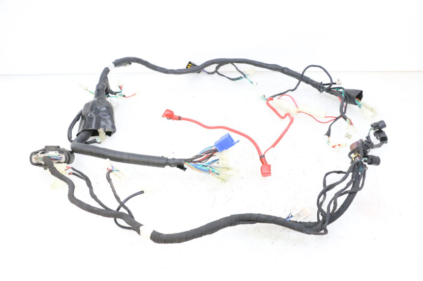 photo de WIRE HARNESS KIDEN KD125-G 125 (2018 - 2022)
