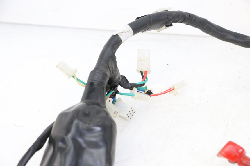 photo de WIRE HARNESS KIDEN KD125-G 125 (2018 - 2022)