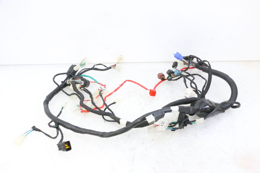 photo de WIRE HARNESS KIDEN KD125-G 125 (2018 - 2022)