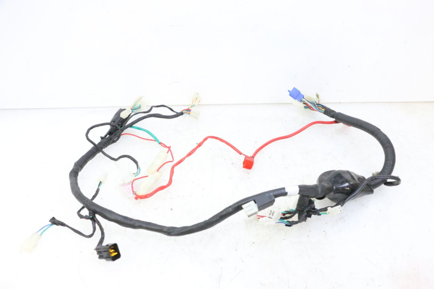 photo de WIRE HARNESS KIDEN KD125-G 125 (2018 - 2022)