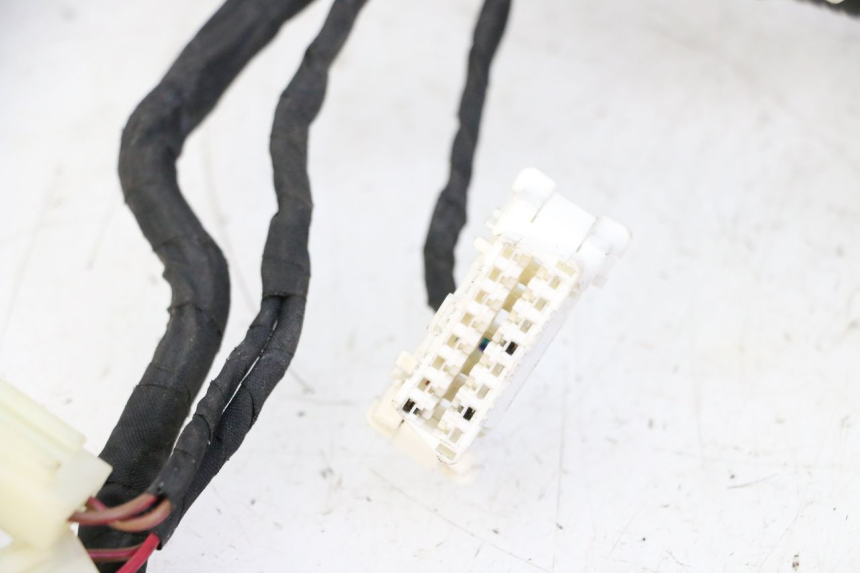 photo de WIRE HARNESS KIDEN KD125-G 125 (2018 - 2022)