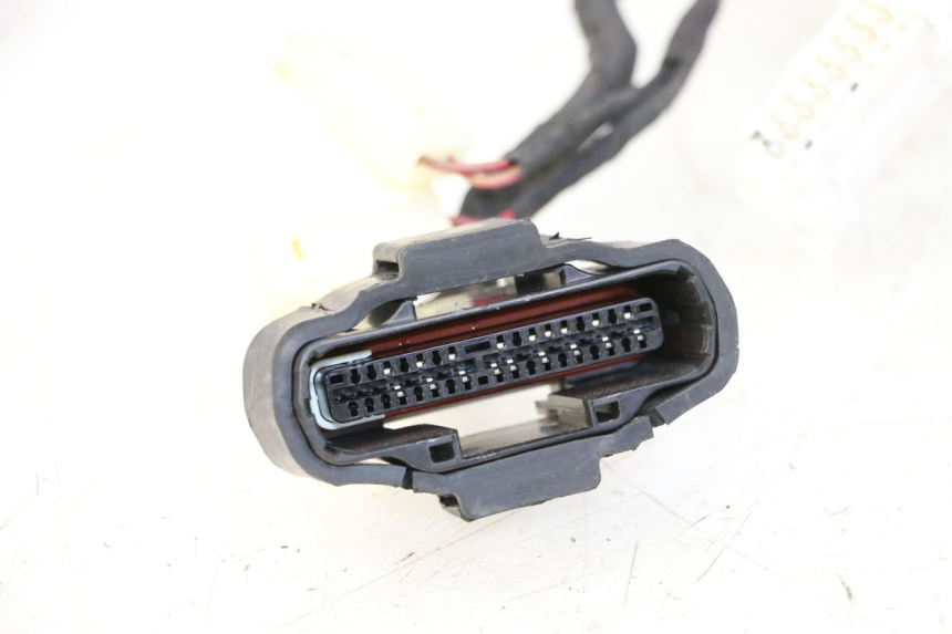 photo de WIRE HARNESS KIDEN KD125-G 125 (2018 - 2022)