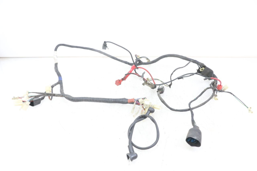 photo de WIRING HARNESS KEEWAY RY6 2T 50 (2011 - 2019)