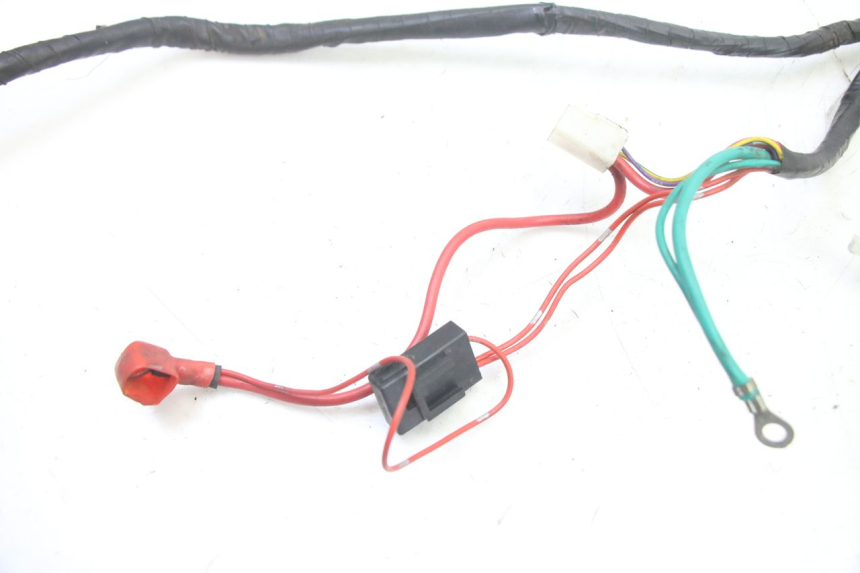 photo de WIRING HARNESS PEUGEOT KISBEE 2T 50 (2010 - 2017)