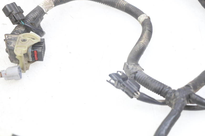 photo de WIRING HARNESS KYMCO AGILITY 16+ 4T 50 (2018 - 2023)