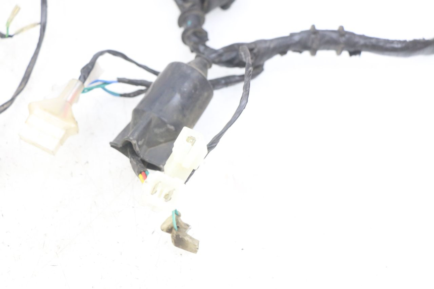 photo de WIRING HARNESS KYMCO AGILITY 16+ 4T 50 (2018 - 2023)