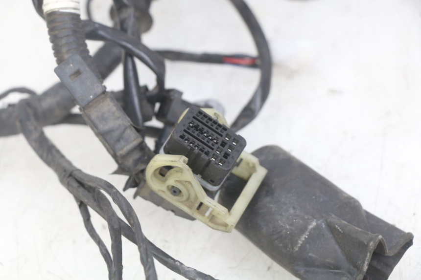 photo de WIRING HARNESS KYMCO AGILITY 16+ 4T 50 (2018 - 2023)