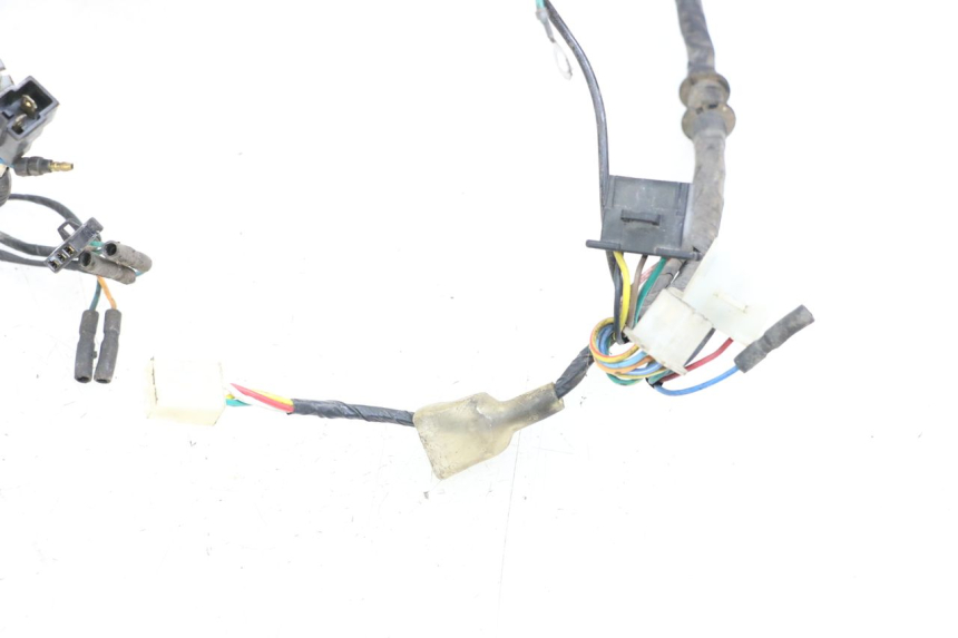 photo de WIRE HARNESS KYMCO AGILITY PREMIUM 50 (2007 - 2010)
