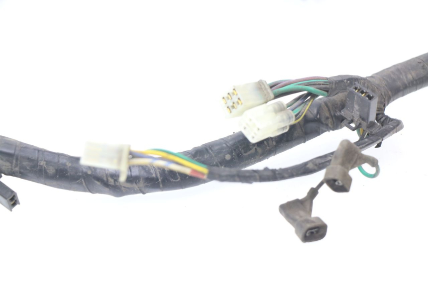 photo de WIRE HARNESS KYMCO GRAND DINK 250 (2002 - 2007)