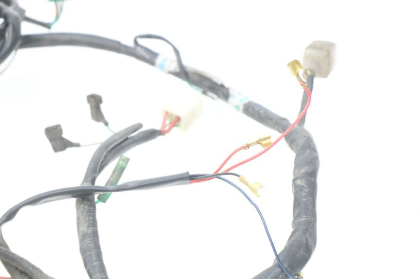 photo de WIRE HARNESS KYMCO SENTO 50 (2008 - 2013)