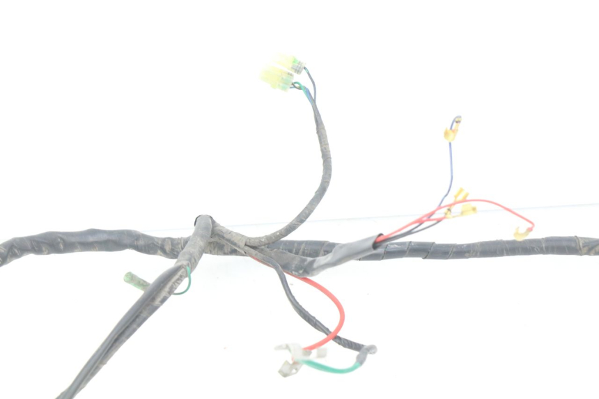 photo de WIRE HARNESS KYMCO SENTO 50 (2008 - 2013)