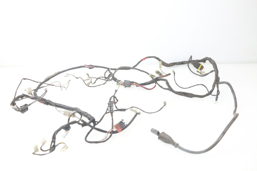 photo de WIRE HARNESS PIAGGIO LIBERTY 4T 50 (2004 - 2008)