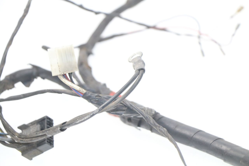 photo de WIRE HARNESS PIAGGIO LIBERTY 4T 50 (2004 - 2008)