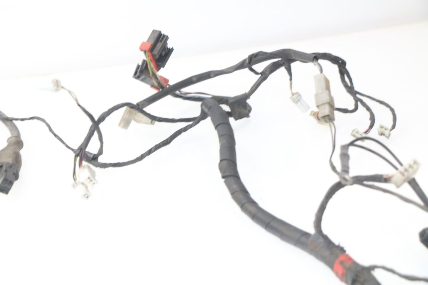 photo de WIRE HARNESS PIAGGIO LIBERTY 4T 50 (2004 - 2008)