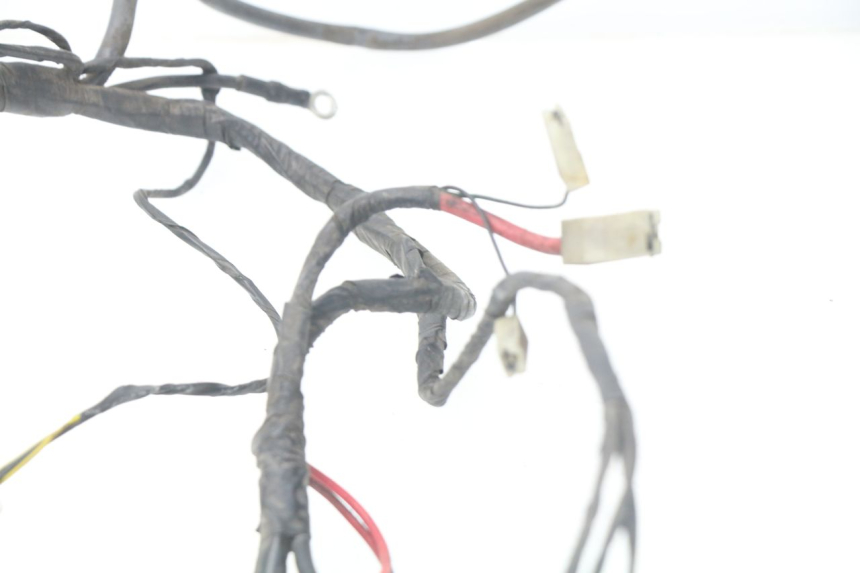 photo de WIRE HARNESS PIAGGIO LIBERTY 4T 50 (2004 - 2008)