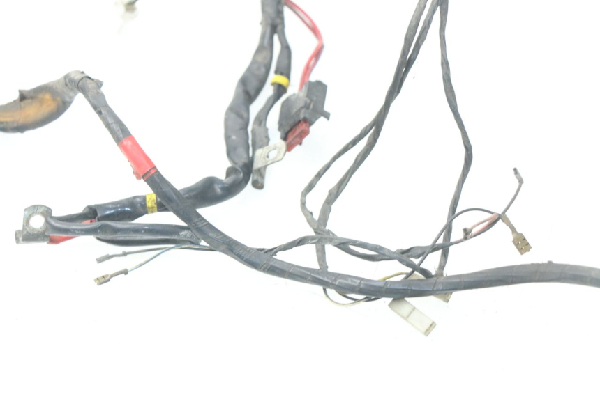 photo de WIRE HARNESS PIAGGIO LIBERTY 4T 50 (2004 - 2008)