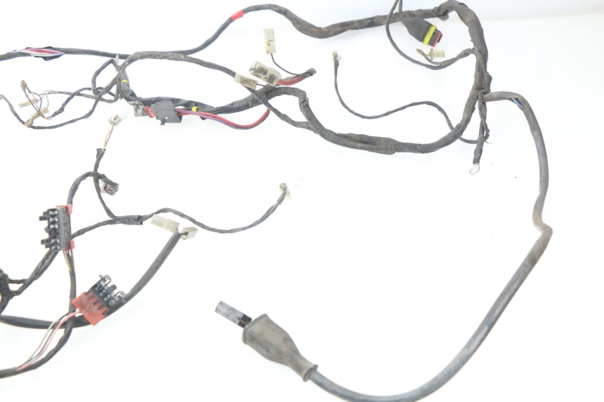 photo de WIRE HARNESS PIAGGIO LIBERTY 4T 50 (2004 - 2008)