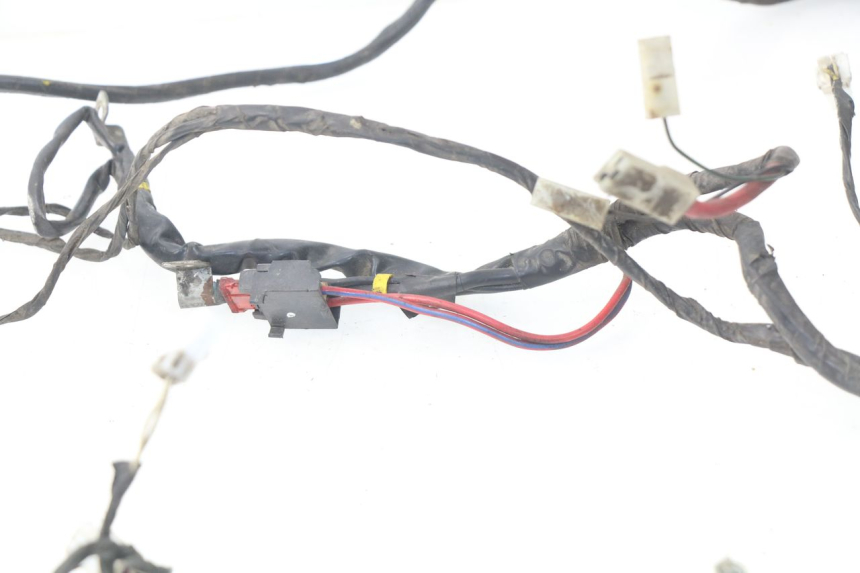 photo de WIRE HARNESS PIAGGIO LIBERTY 4T 50 (2004 - 2008)