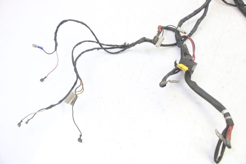 photo de WIRE HARNESS PIAGGIO LIBERTY 4T 50 (2009 - 2015)