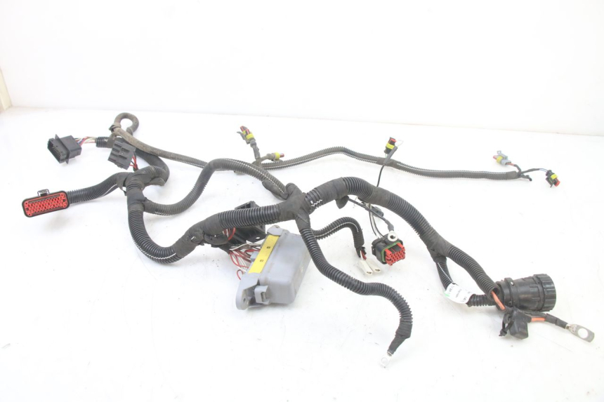 photo de WIRE HARNESS LIGIER PULSE 3 1 (2014 - 2020)