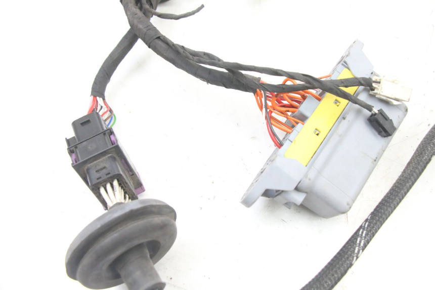 photo de WIRE HARNESS LIGIER PULSE 3 1 (2014 - 2020)