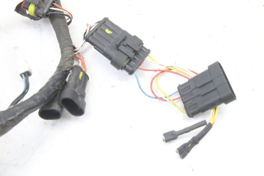 photo de WIRE HARNESS LIGIER PULSE 3 1 (2014 - 2020)