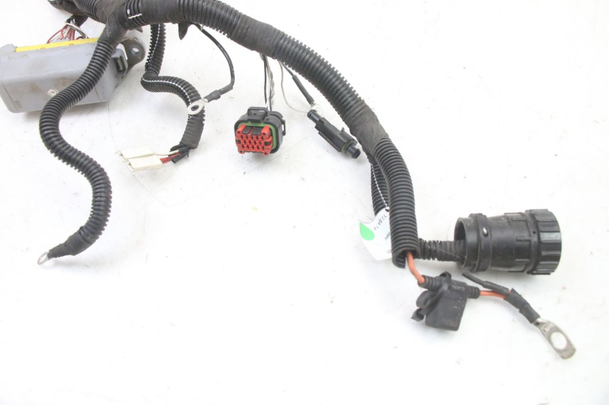 photo de WIRE HARNESS LIGIER PULSE 3 1 (2014 - 2020)