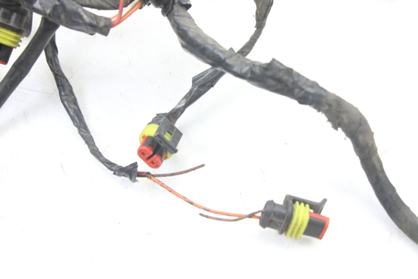 photo de WIRE HARNESS LIGIER PULSE 3 1 (2014 - 2020)