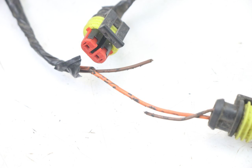 photo de WIRE HARNESS LIGIER PULSE 3 1 (2014 - 2020)