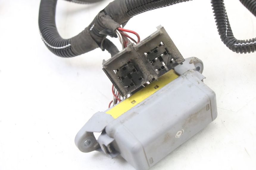 photo de WIRE HARNESS LIGIER PULSE 3 1 (2014 - 2020)