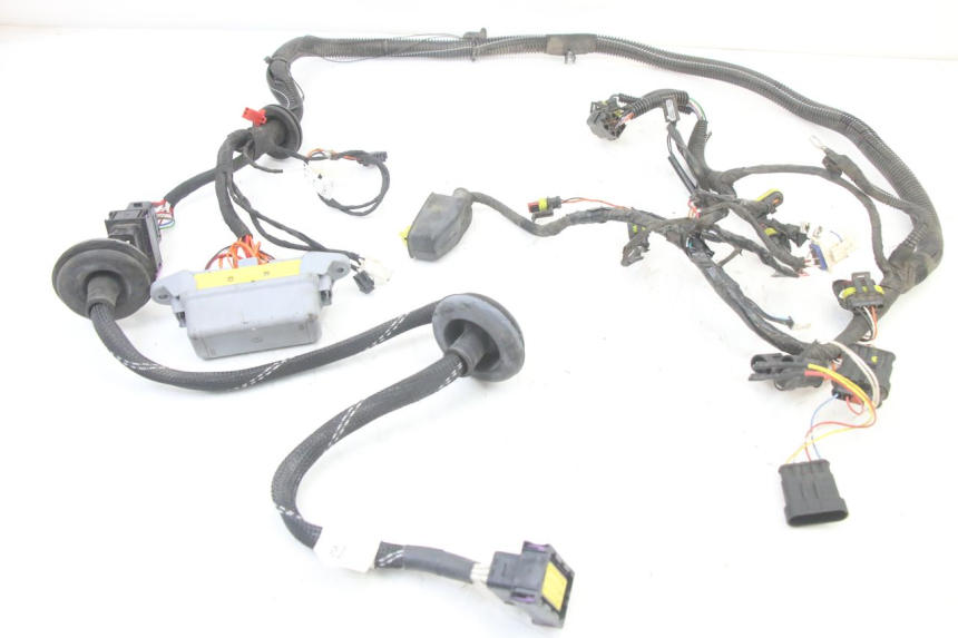 photo de WIRE HARNESS LIGIER PULSE 3 1 (2014 - 2020)