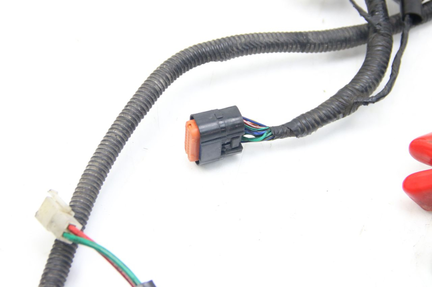 photo de WIRING HARNESS LONGJIA DIGITA 4T 50 (2019 - 2022)