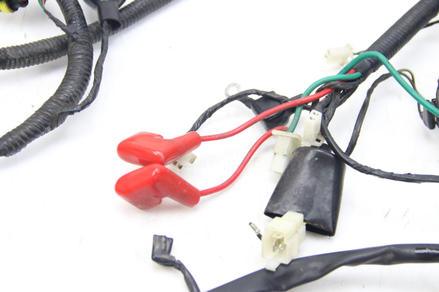 photo de WIRING HARNESS LONGJIA DIGITA 4T 50 (2019 - 2022)