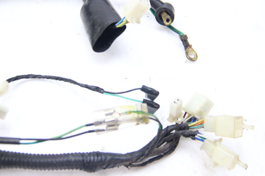 photo de WIRING HARNESS LONGJIA DIGITA 4T 50 (2019 - 2022)