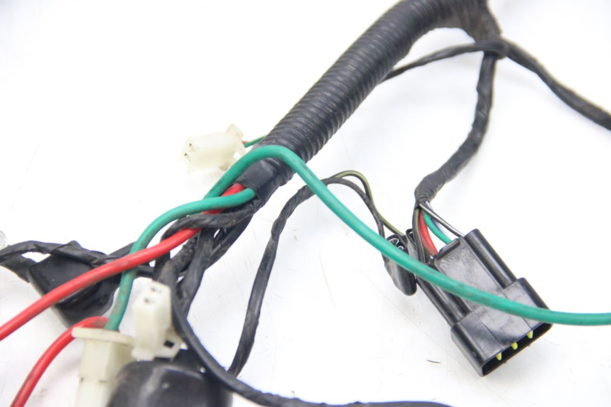 photo de WIRING HARNESS LONGJIA DIGITA 4T 50 (2019 - 2022)