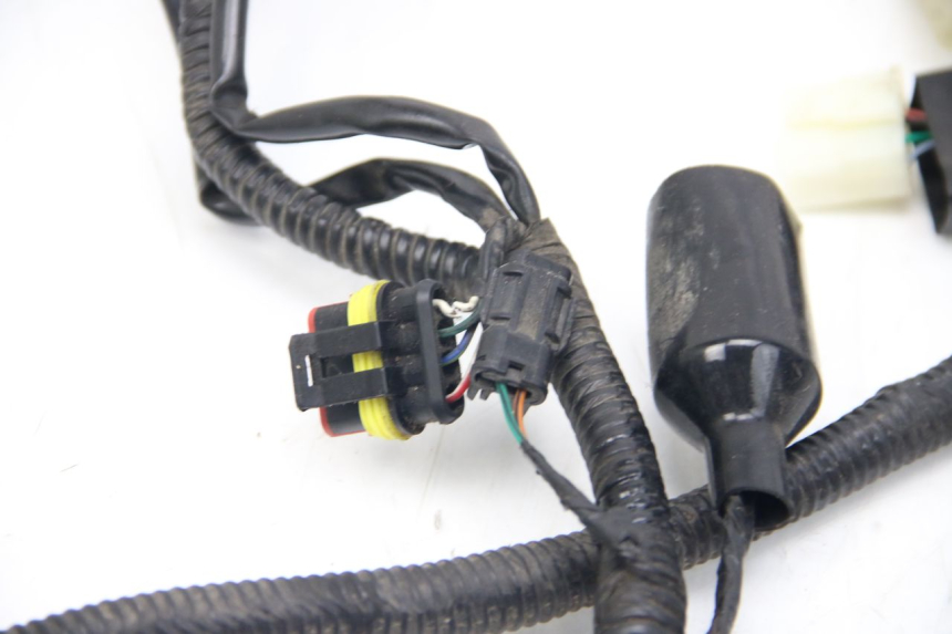 photo de WIRING HARNESS LONGJIA DIGITA 4T 50 (2019 - 2022)