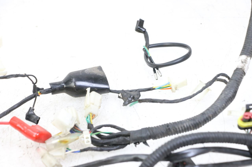 photo de WIRING HARNESS LONGJIA DIGITA 4T 50 (2019 - 2022)