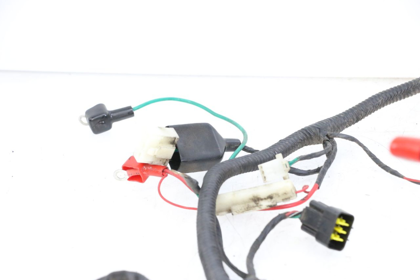 photo de WIRING HARNESS LONGJIA DIGITA 4T 50 (2019 - 2022)