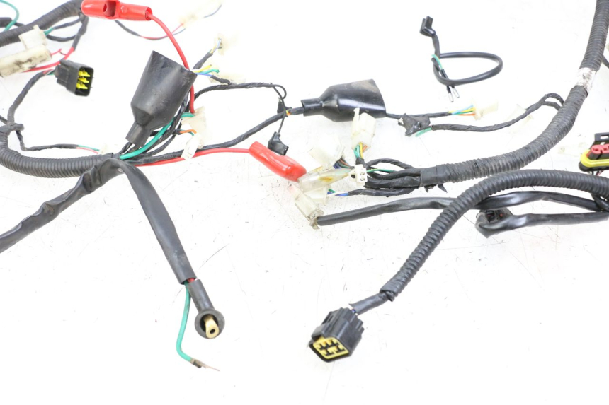 photo de WIRING HARNESS LONGJIA DIGITA 4T 50 (2019 - 2022)