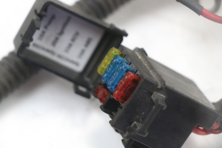 photo de WIRE HARNESS LONGJIA EASY MAX 125 (2020 - 2024)