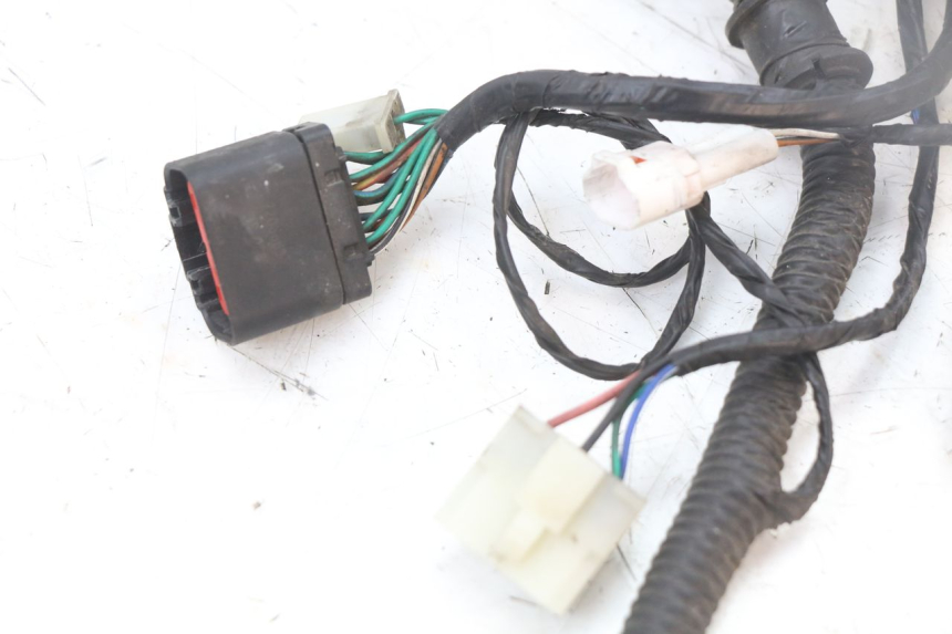 photo de WIRE HARNESS LONGJIA EASY MAX 125 (2020 - 2024)