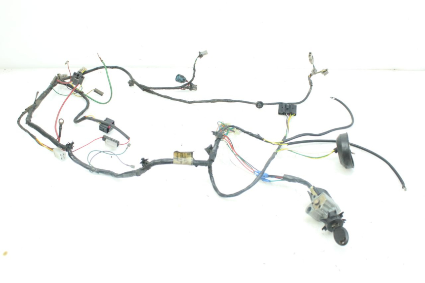 photo de WIRING HARNESS PEUGEOT LUDIX 50 (2008 - 2017)