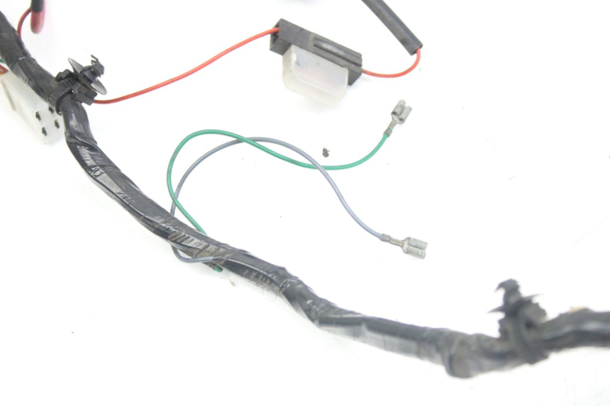 photo de WIRING HARNESS PEUGEOT LUDIX 50 (2008 - 2017)