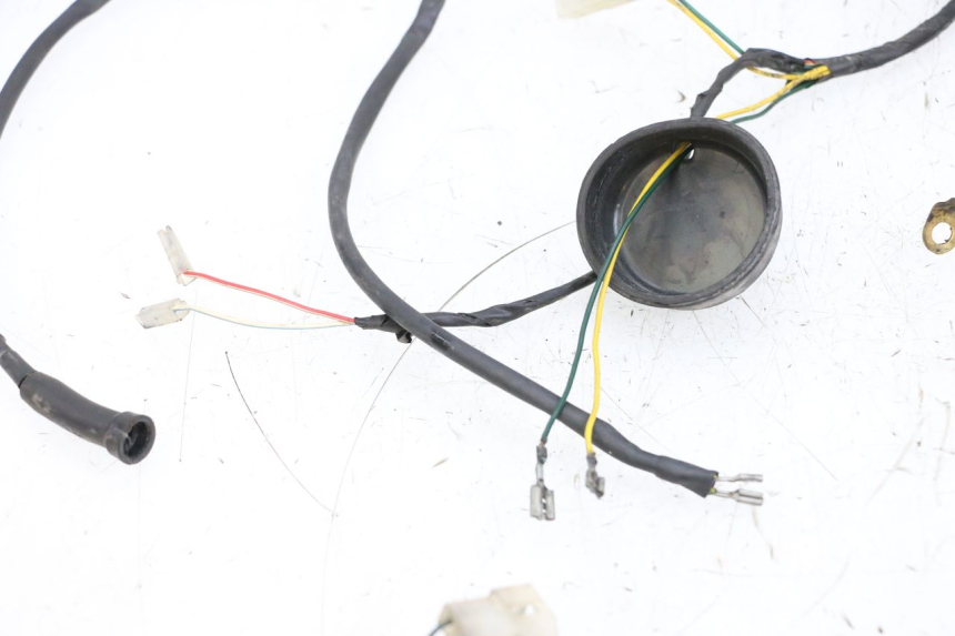 photo de WIRING HARNESS PEUGEOT LUDIX 50 (2005 - 2007) - High-resolution close-up