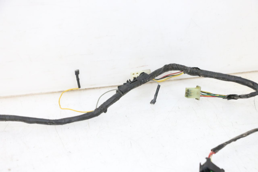 photo de WIRING HARNESS PEUGEOT LUDIX 50 (2005 - 2007) - Markings and original references