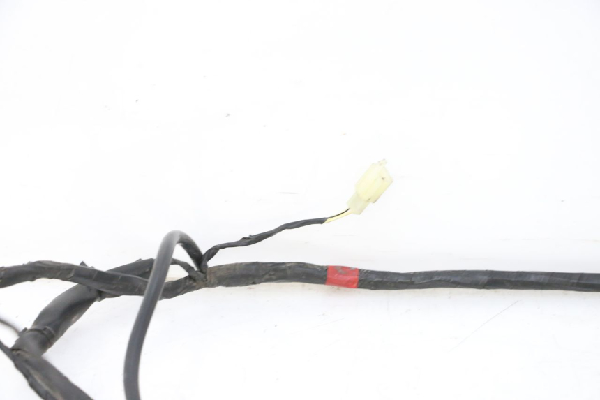 photo de WIRE HARNESS PIAGGIO LXV 4T 50 (2009 - 2013)