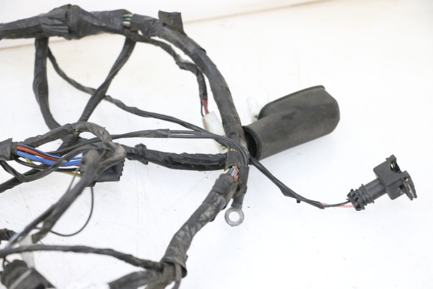 photo de WIRE HARNESS PIAGGIO LXV 4T 50 (2009 - 2013)